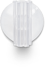 Go POP
